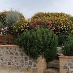 Podere Del Papa * Viceno