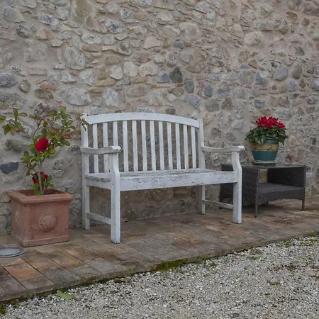 Podere Del Papa Viceno