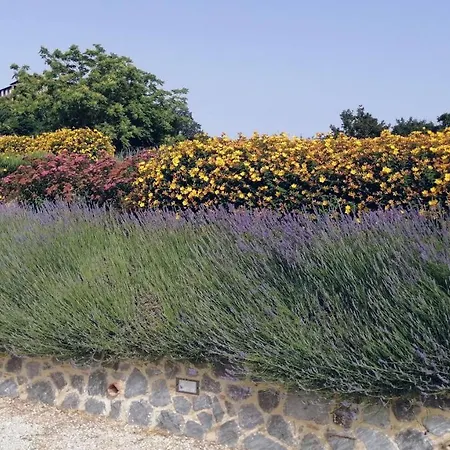 Podere Del Papa * Viceno