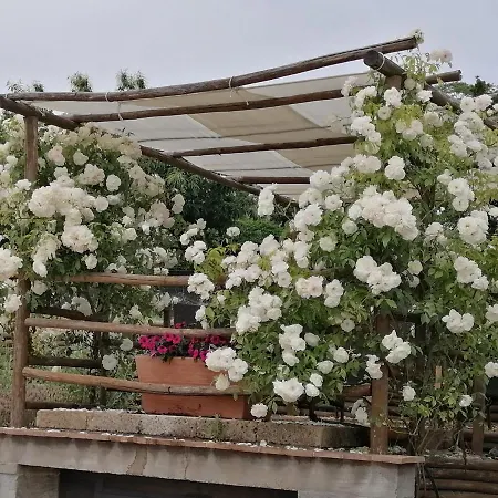 Podere Del Papa Viceno