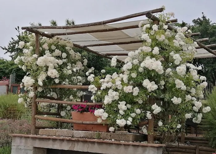 Podere Del Papa Viceno